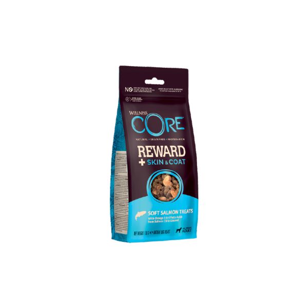 Wellness Core Reward+ Treat Dog Skin & Coat 170g